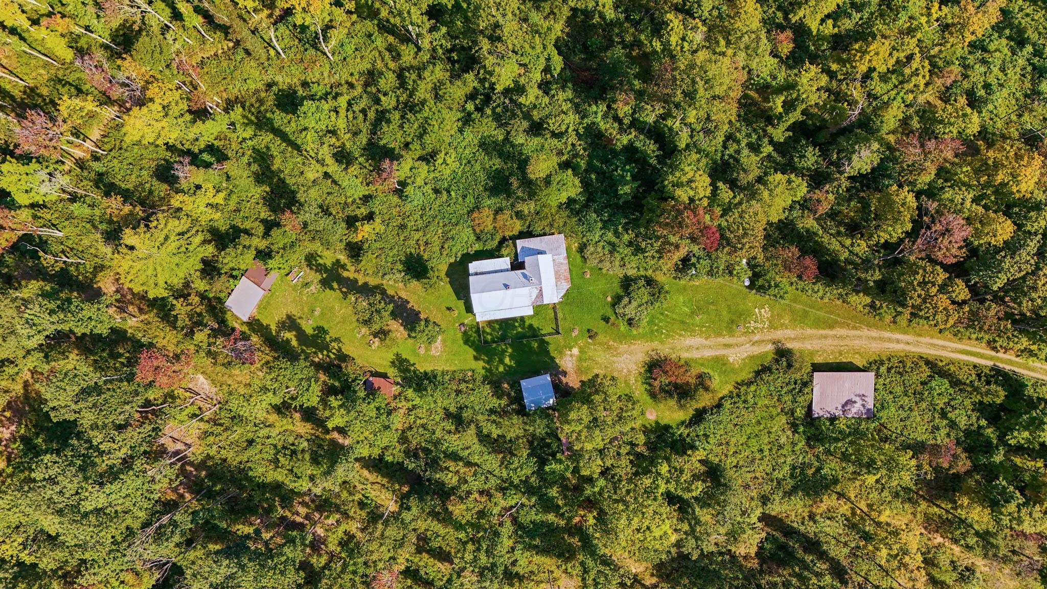 24657 Pole Ridge Road South Bloomingville, OH 43152 - Photo 33 of 41 DJI_20260831114009_0490_D