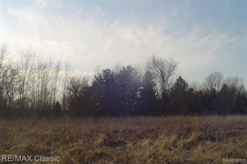 Vl Wiggins Road Howell, MI 48855 - Photo 17 of 25 Northern Field
