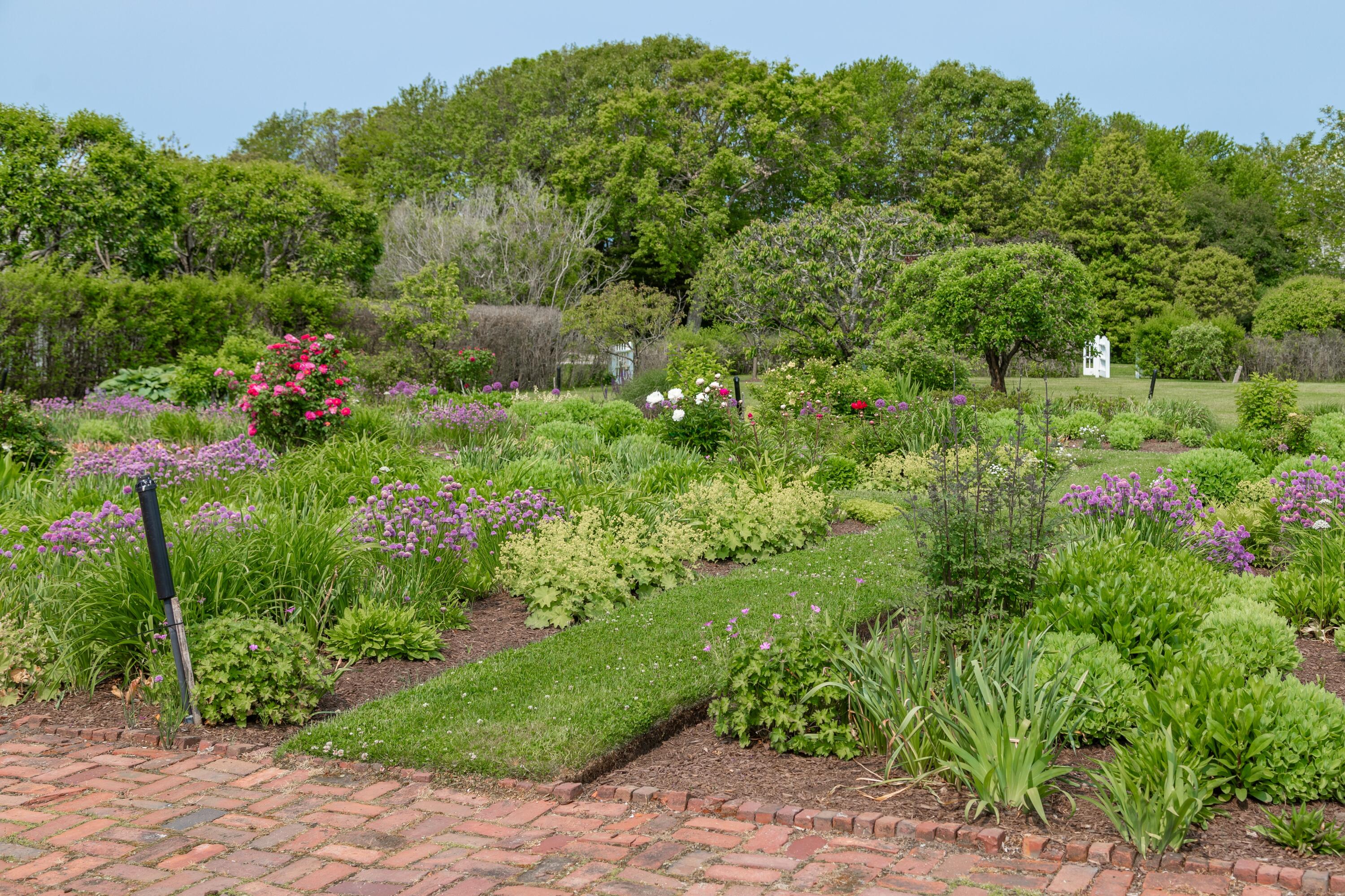 17 Indian Trail Osterville, MA 02655 - Photo 12 of 19 a view of a garden with plants and large trees