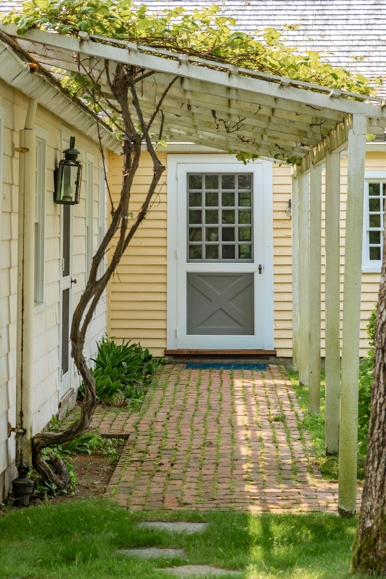17 Indian Trail Osterville, MA 02655 - Photo 7 of 19 a front view of a house with a yard
