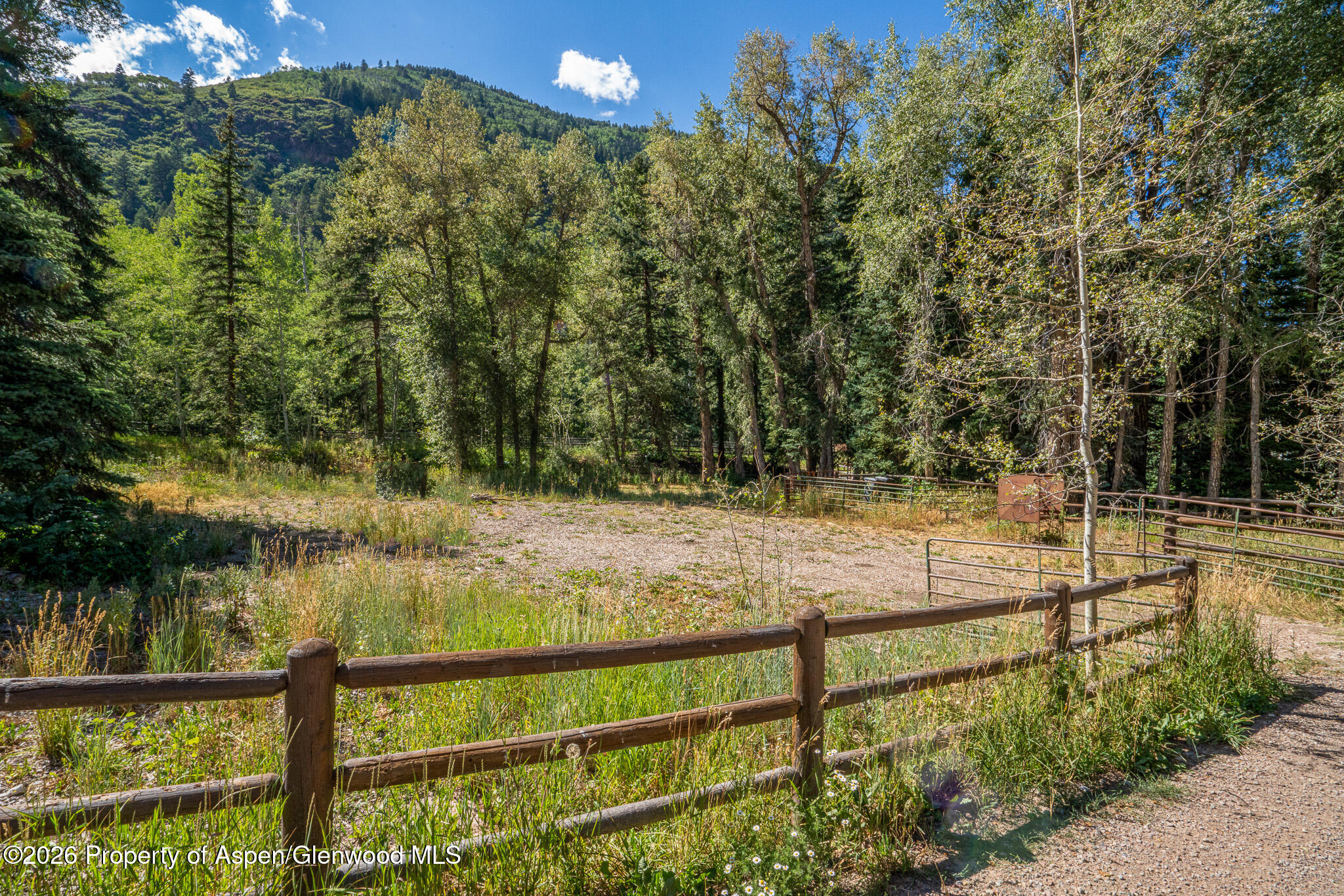 285 Conundrum Creek Road Aspen, CO 81611 - Photo 33 of 35 a view of a swimming pool with a yard