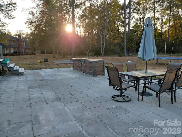 a view of a patio with couches and a potted plant on a table