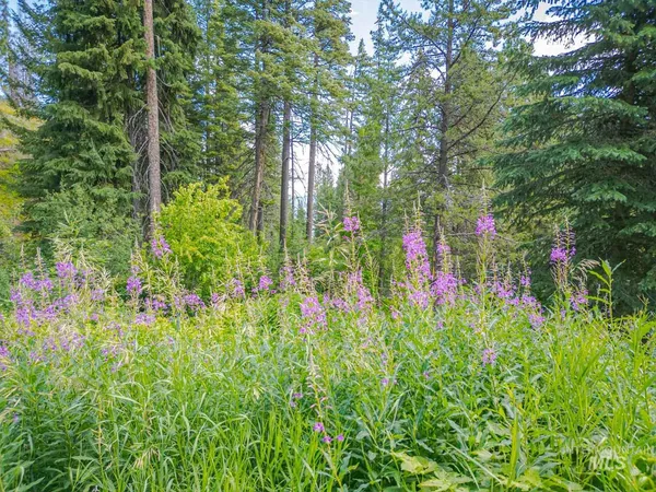 $7,890,000 | Tbd Tbd West Mountain, Cascade, ID 83611