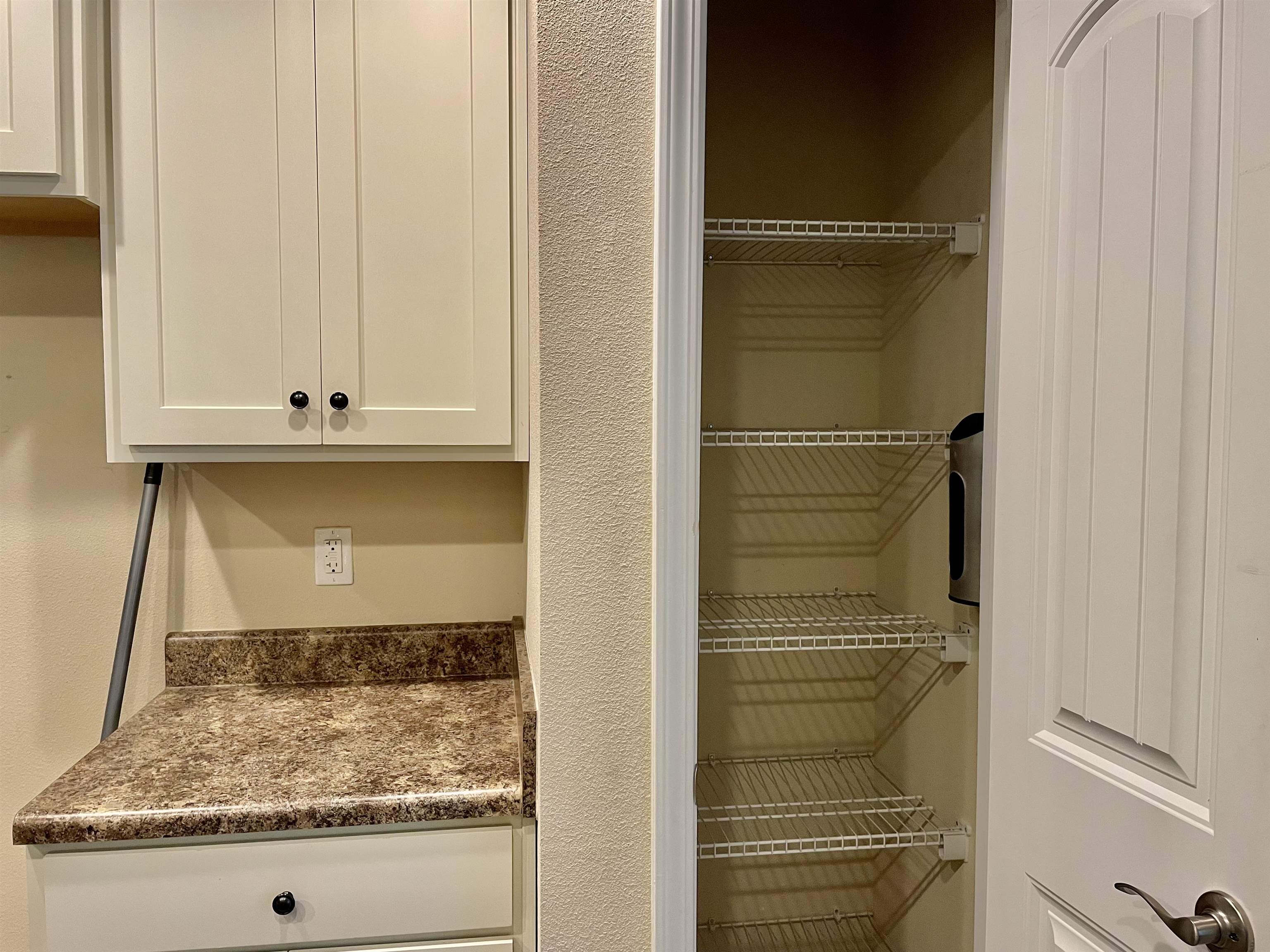 16141 Trace Drive Loxley, AL 36551 - Photo 7 of 26 Pantry