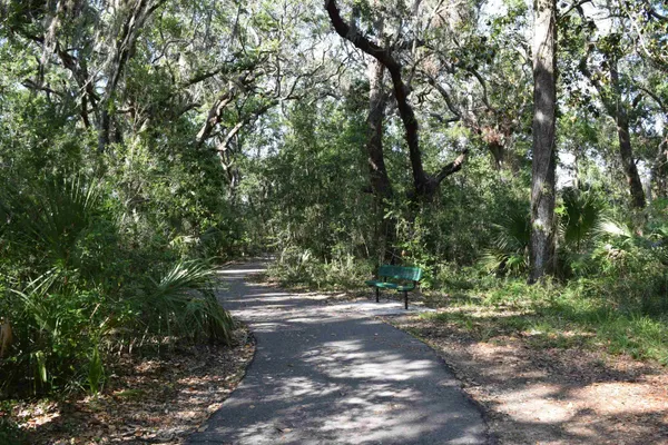 a view of road with trees