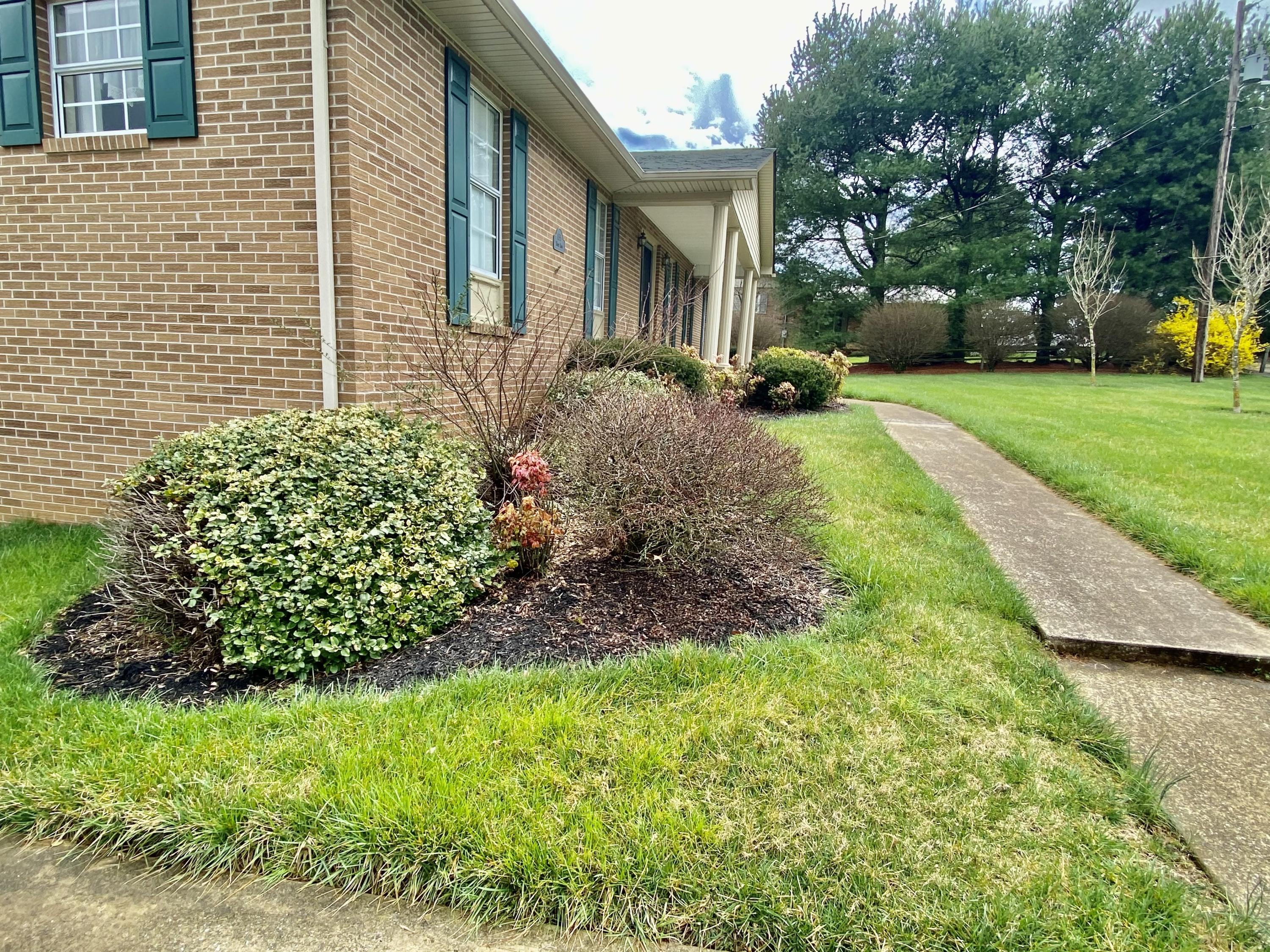 135 White Road Greeneville, TN 37745 - Photo 38 of 52 IMG_2648