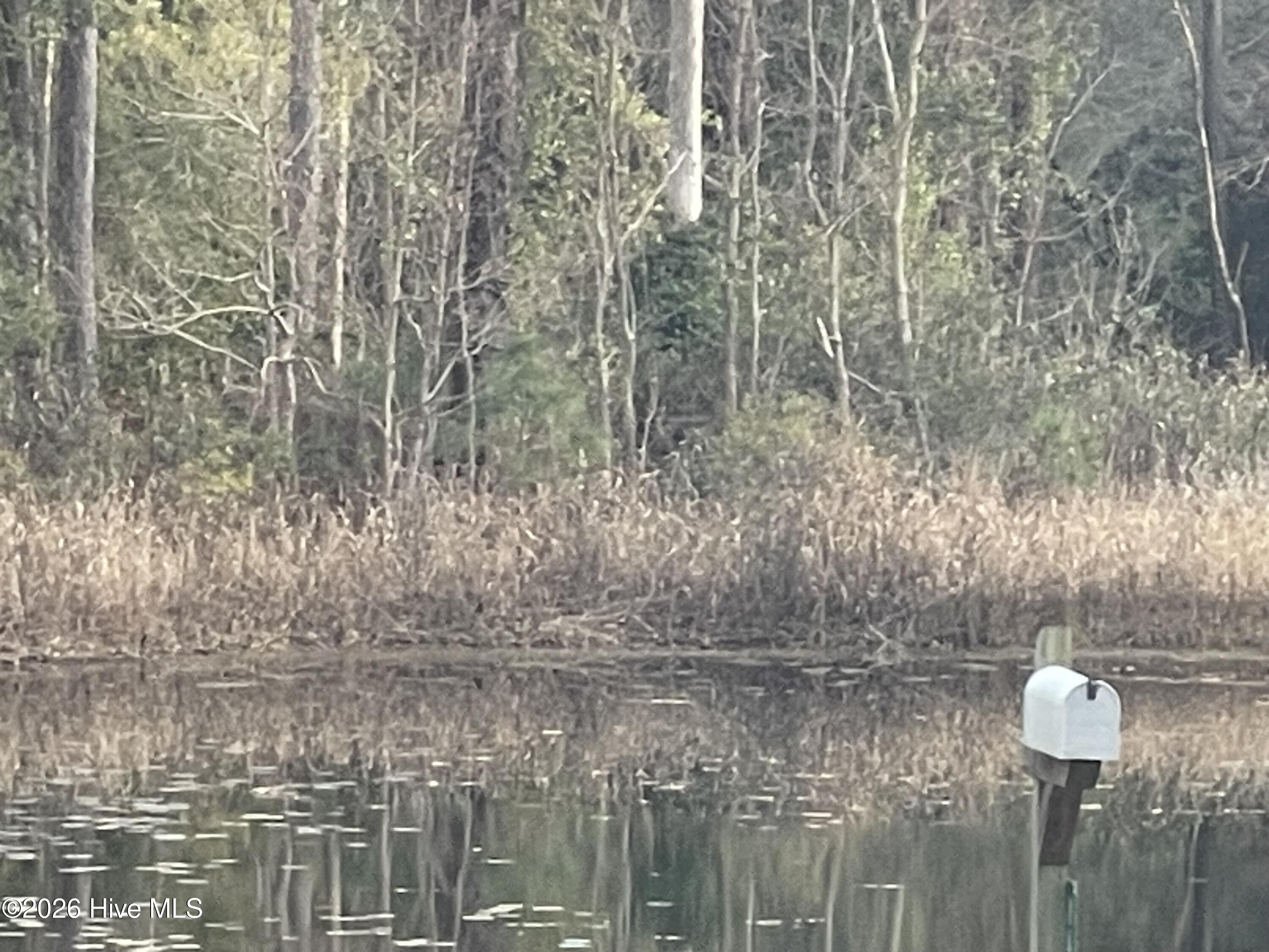 1469 East Boiling Spring Road Southport, NC 28461 - Photo 29 of 34 Photo Jan 08 2026, 4 23 30 PM