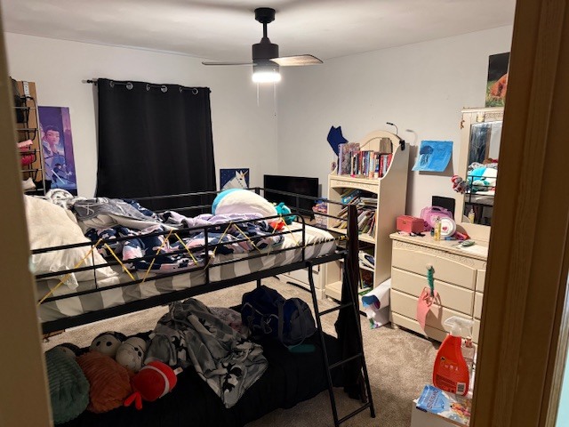 18 Sawmill Road Carbondale, IL 62902 - Photo 13 of 26