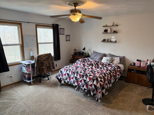 18 Sawmill Road Carbondale, IL 62902 - Photo 15 of 26