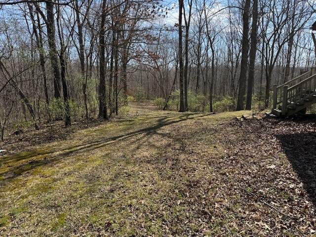 18 Sawmill Road Carbondale, IL 62902 - Photo 4 of 26