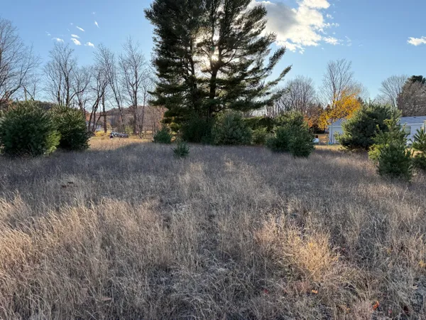 $18,000 | 1 9th Street, Bear Lake, MI 49614