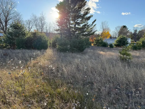 $18,000 | 1 9th Street, Bear Lake, MI 49614