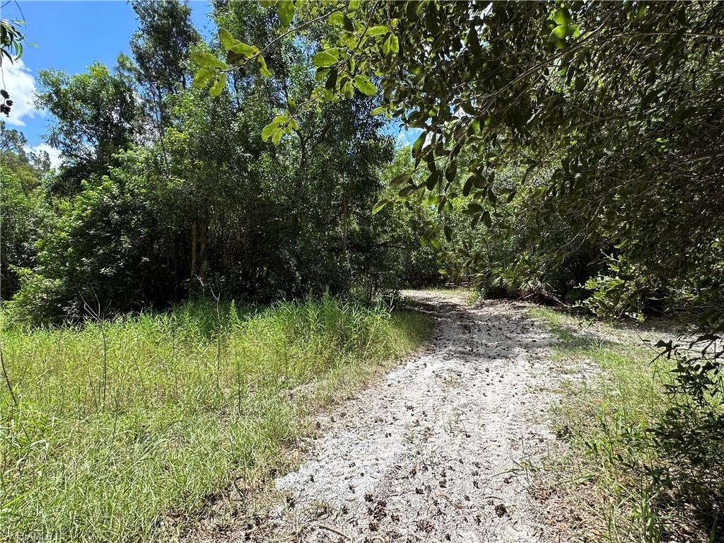 12880 Tower Road Bonita Springs, FL 34135 - Photo 13 of 25