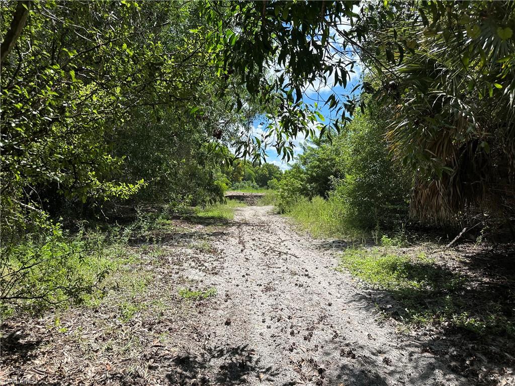 12880 Tower Road Bonita Springs, FL 34135 - Photo 14 of 25 a big yard with lots of green space