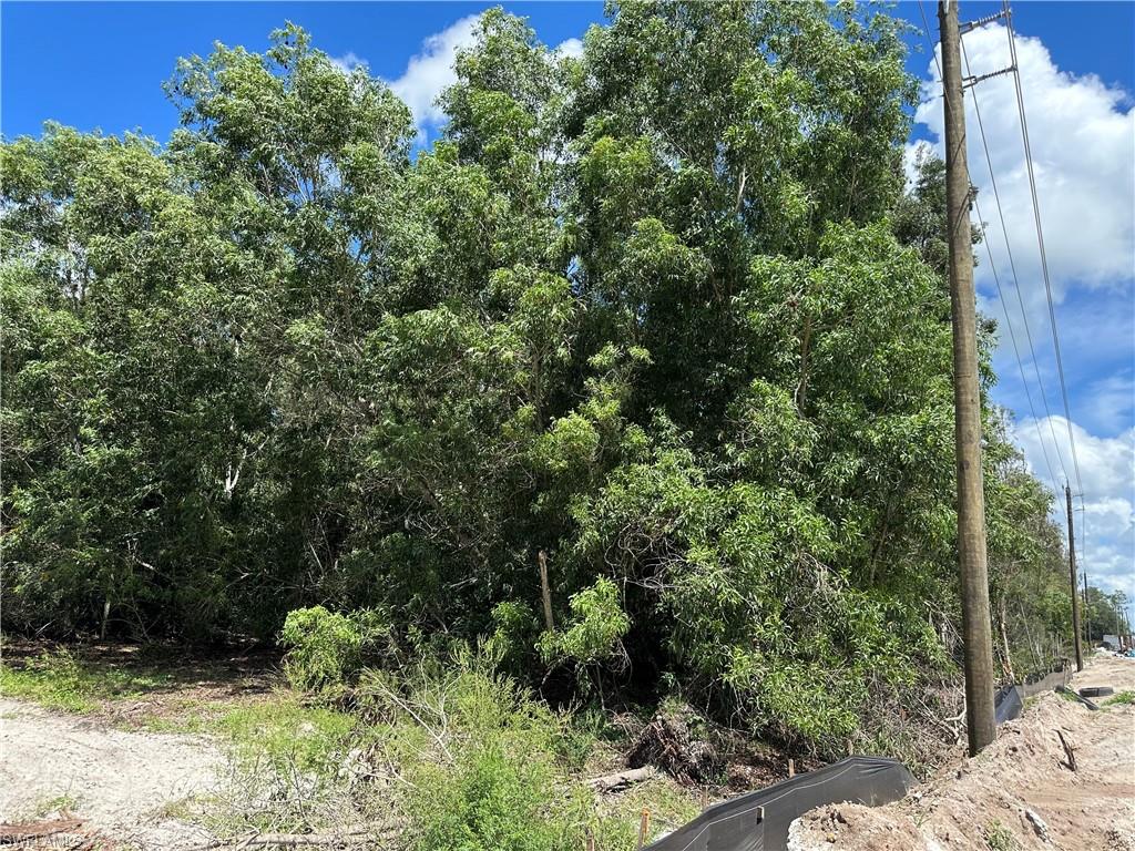 12880 Tower Road Bonita Springs, FL 34135 - Photo 15 of 25 a view of a yard with plants and a tree