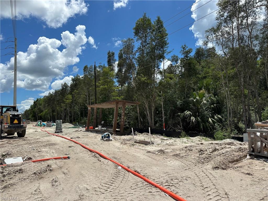 12880 Tower Road Bonita Springs, FL 34135 - Photo 19 of 25 a view of the backyard of the house