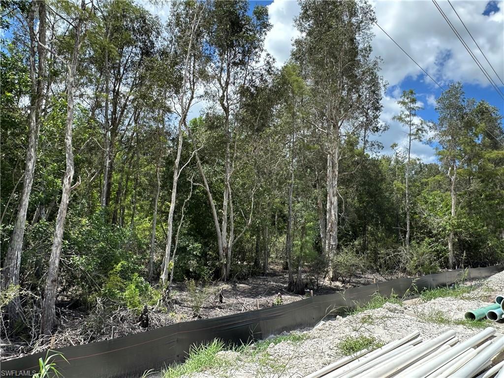 12880 Tower Road Bonita Springs, FL 34135 - Photo 21 of 25 a view of a park with large trees