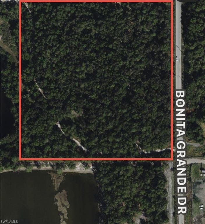 12880 Tower Road Bonita Springs, FL 34135 - Photo 24 of 25 a view of a forest