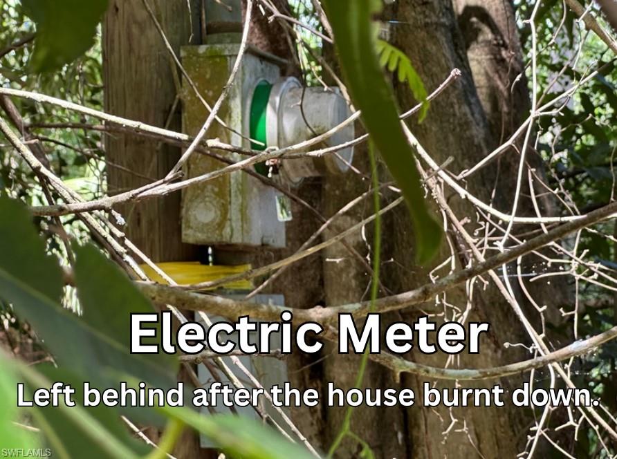 12880 Tower Road Bonita Springs, FL 34135 - Photo 5 of 25 a view of street