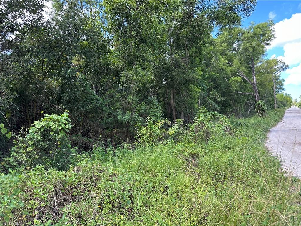 12880 Tower Road Bonita Springs, FL 34135 - Photo 6 of 25 a view of a lush green forest with lawn chairs under a large tree