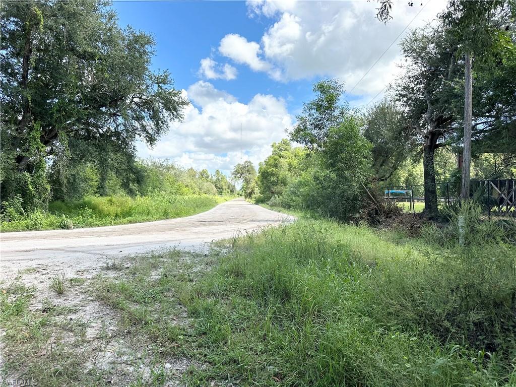 12880 Tower Road Bonita Springs, FL 34135 - Photo 7 of 25 a view of a yard with large trees