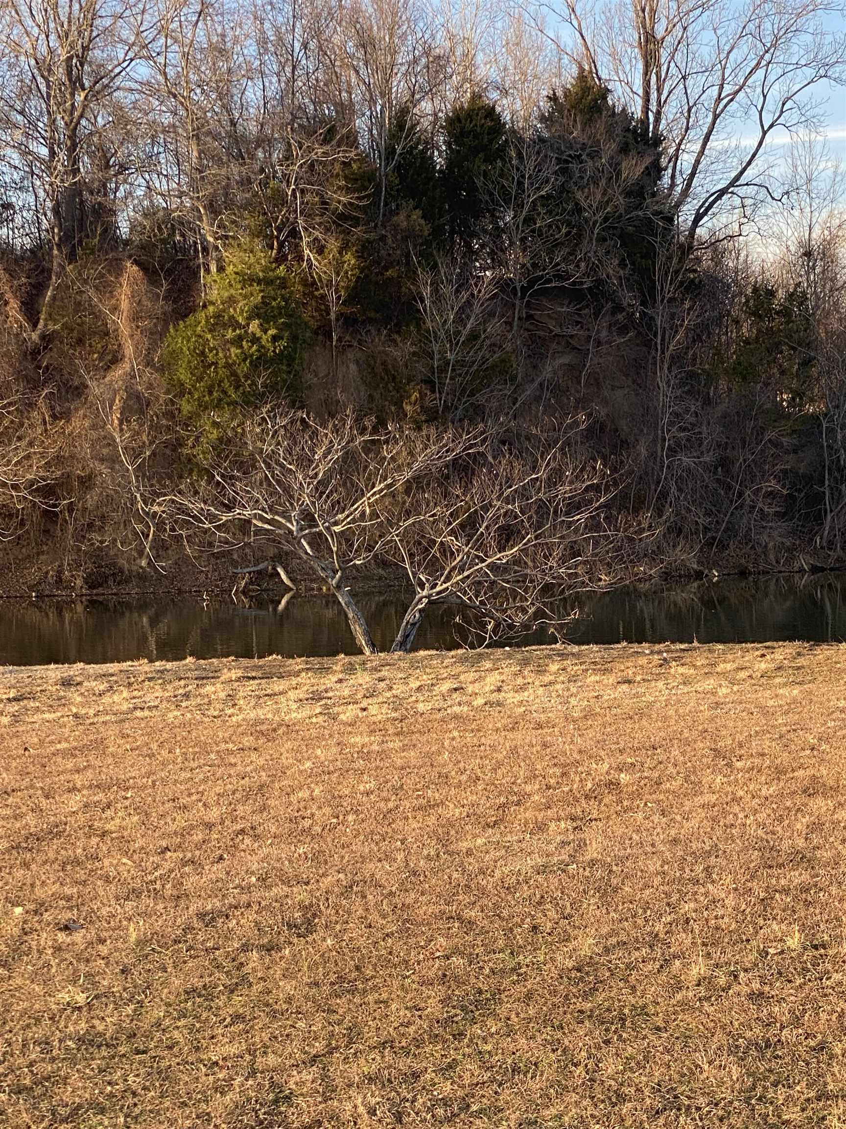 614 Emerald View Way Memphis, TN 38109 - Photo 14 of 15 a view of a yard