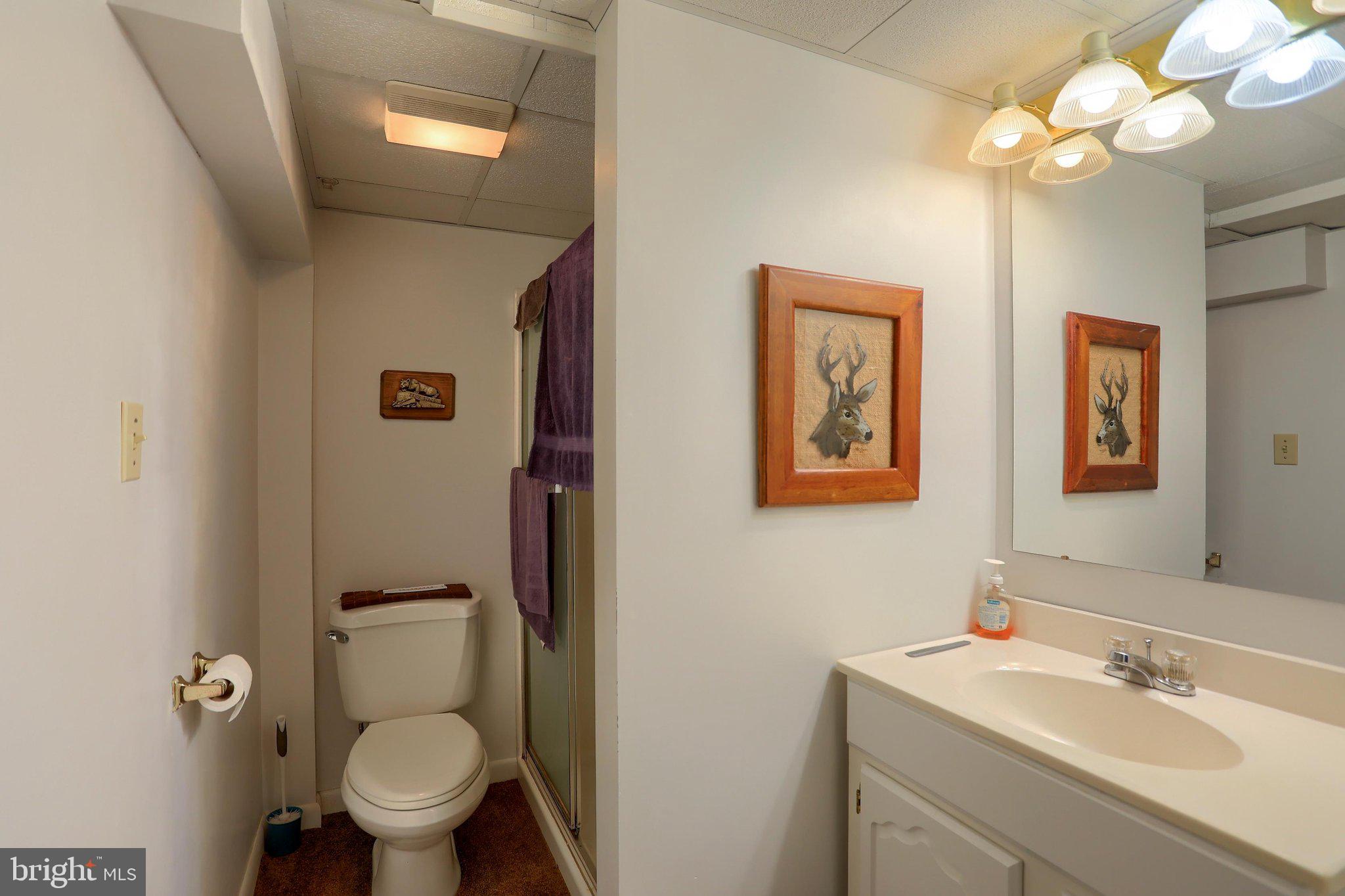 127 Ridgeview Drive Marysville, PA 17053 - Photo 27 of 36