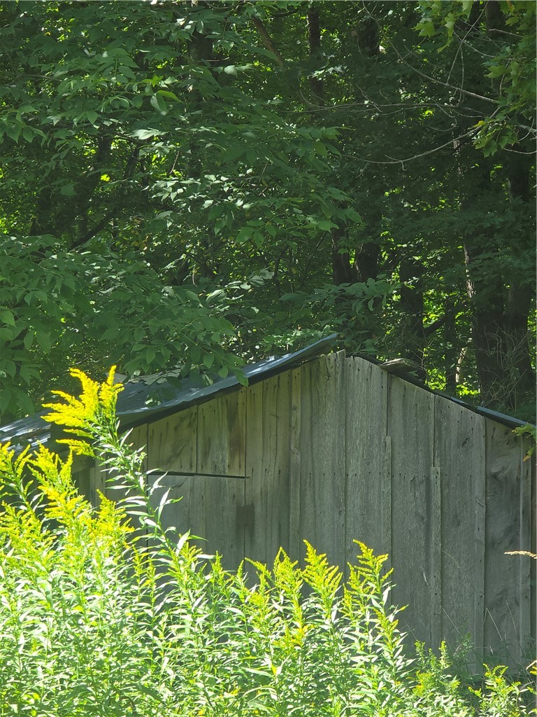 213 Geiss Road Greene, NY 13787 - Photo 12 of 24 Gallery Image 12