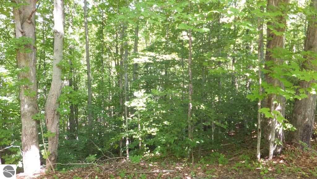 2425 North Haze Road Beulah, MI 49617 - Photo 23 of 32 1787252-22.JPG