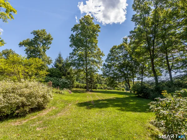 a view of a yard with plants and large trees