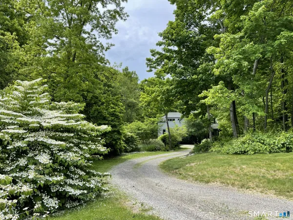 a view of a yard with plants and a trees
