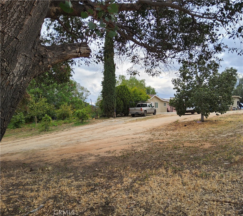 10515 Cypress Avenue Riverside, CA 92505 - Photo 4 of 7 a view of dirt yard with a large tree