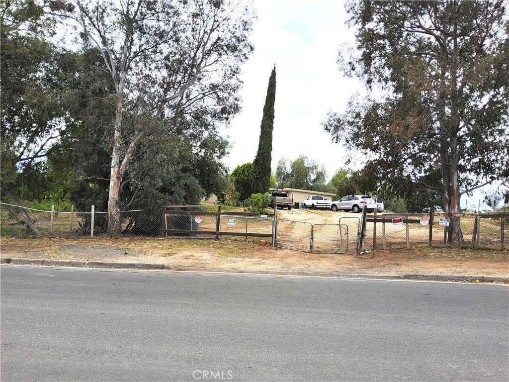 10515 Cypress Avenue Riverside, CA 92505 - Photo 7 of 7 a view of a yard with large trees