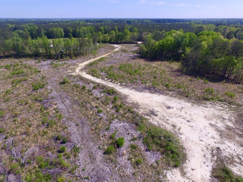 Halifax Road Lawrenceville, VA 23868 - Photo 12 of 45 Gallery Image 12