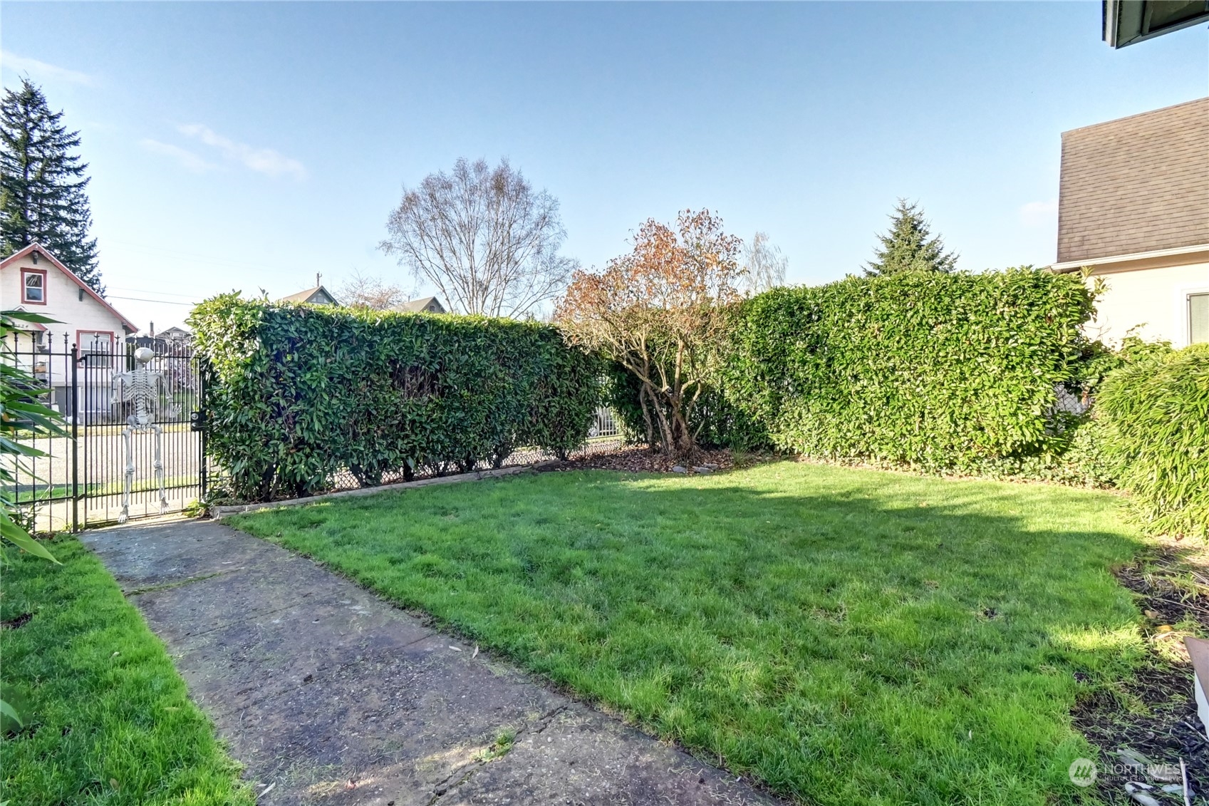 2223 Rockefeller Avenue Everett, WA 98201 - Photo 2 of 21 a view of a yard with plants and a large tree