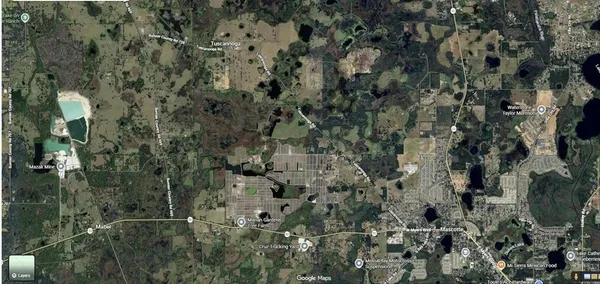 a view of a house with a lush green forest