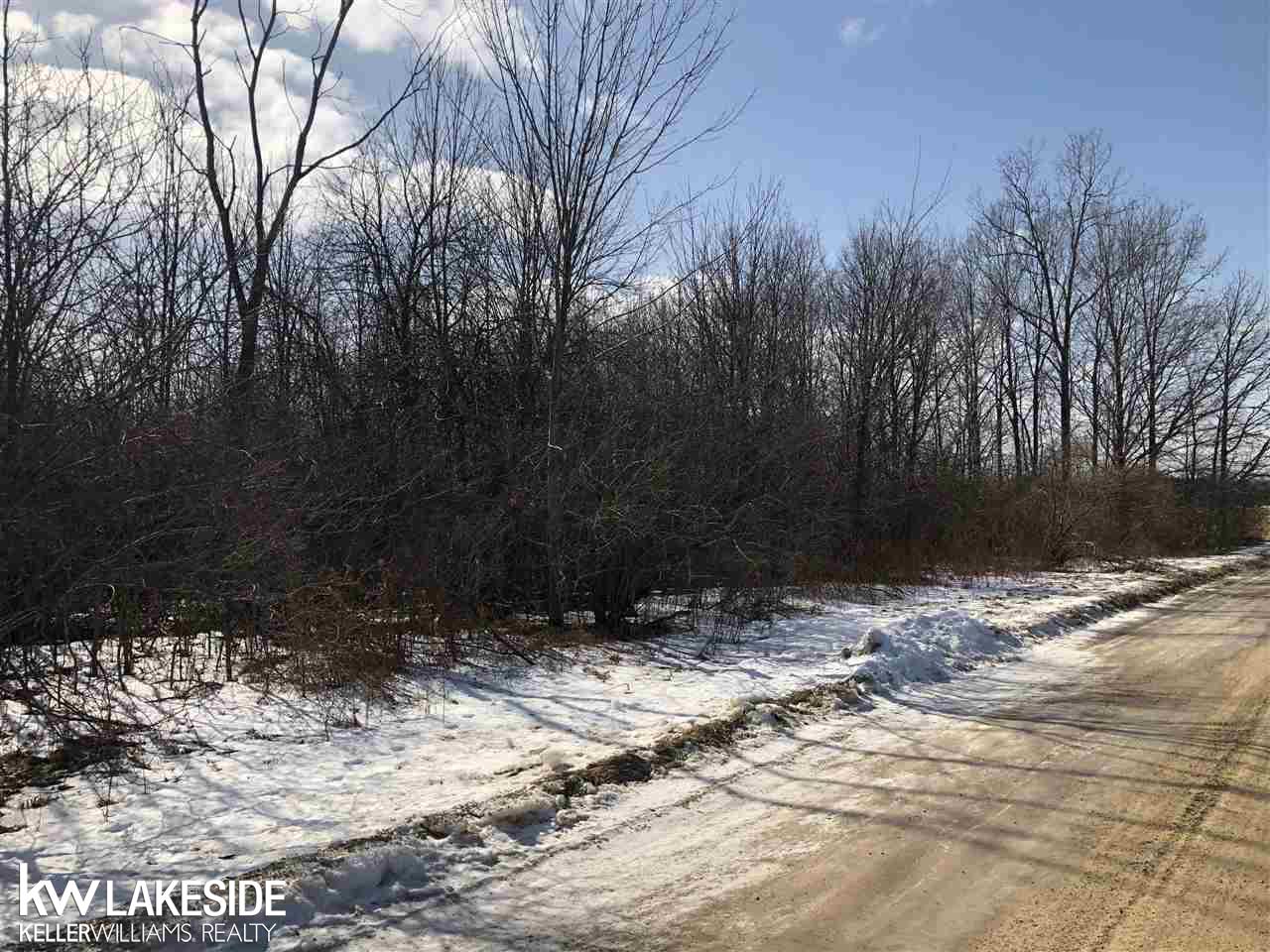 0 Dayton Road Richmond, MI 48062 - Photo 4 of 6 Gallery Image 4