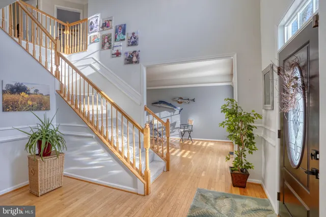 a view of staircase with wooden floor and a potted plant