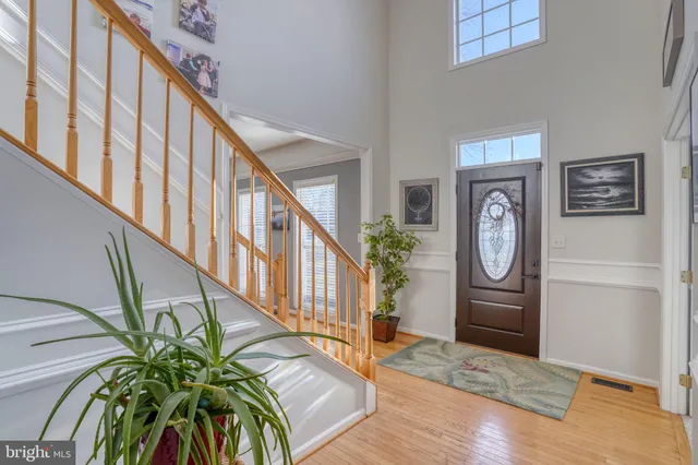 a view of staircase with wooden floor and a potted plant