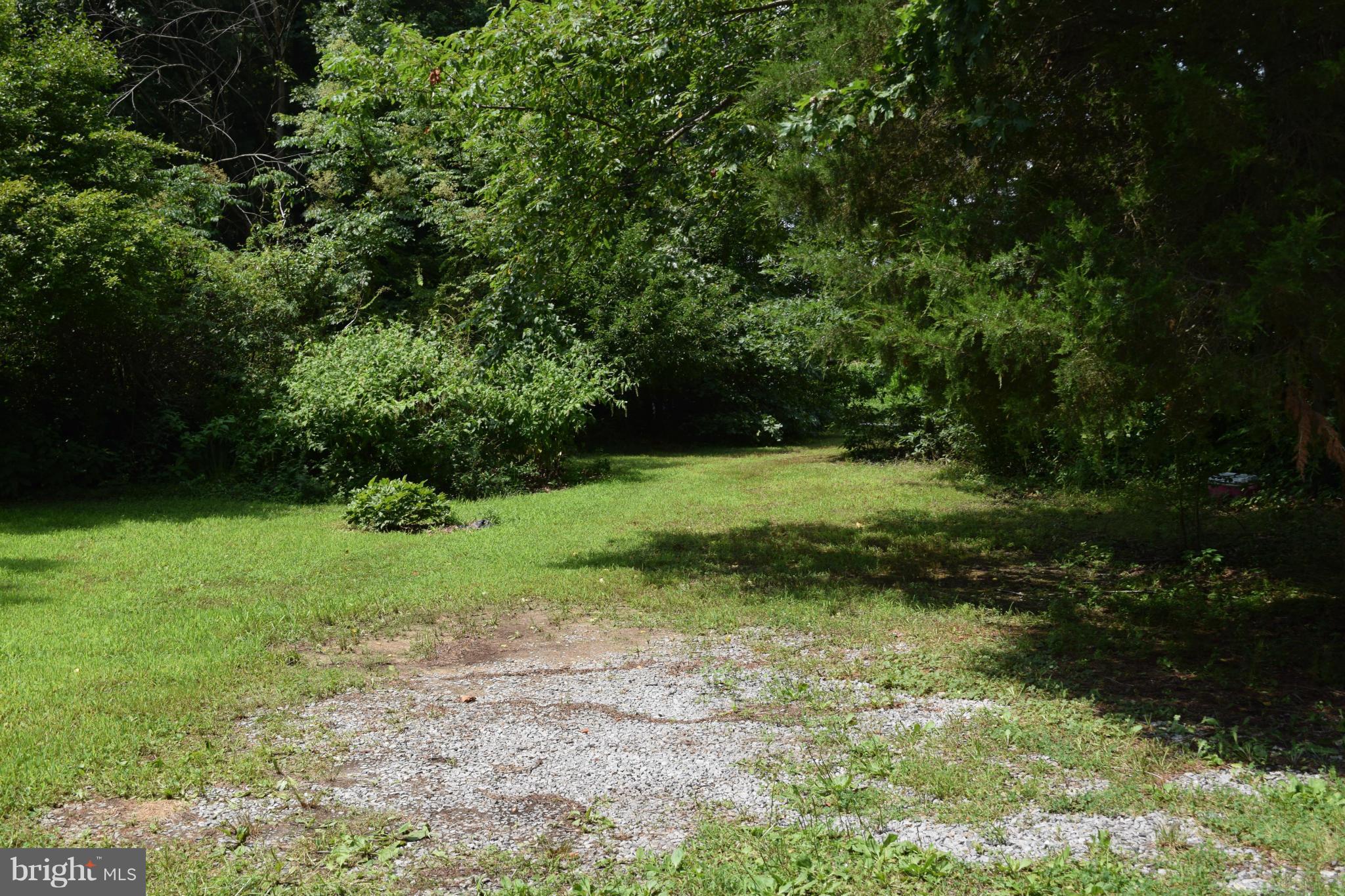 220 Will Smith Road Henderson, MD 21640 - Photo 12 of 28 Wooded View