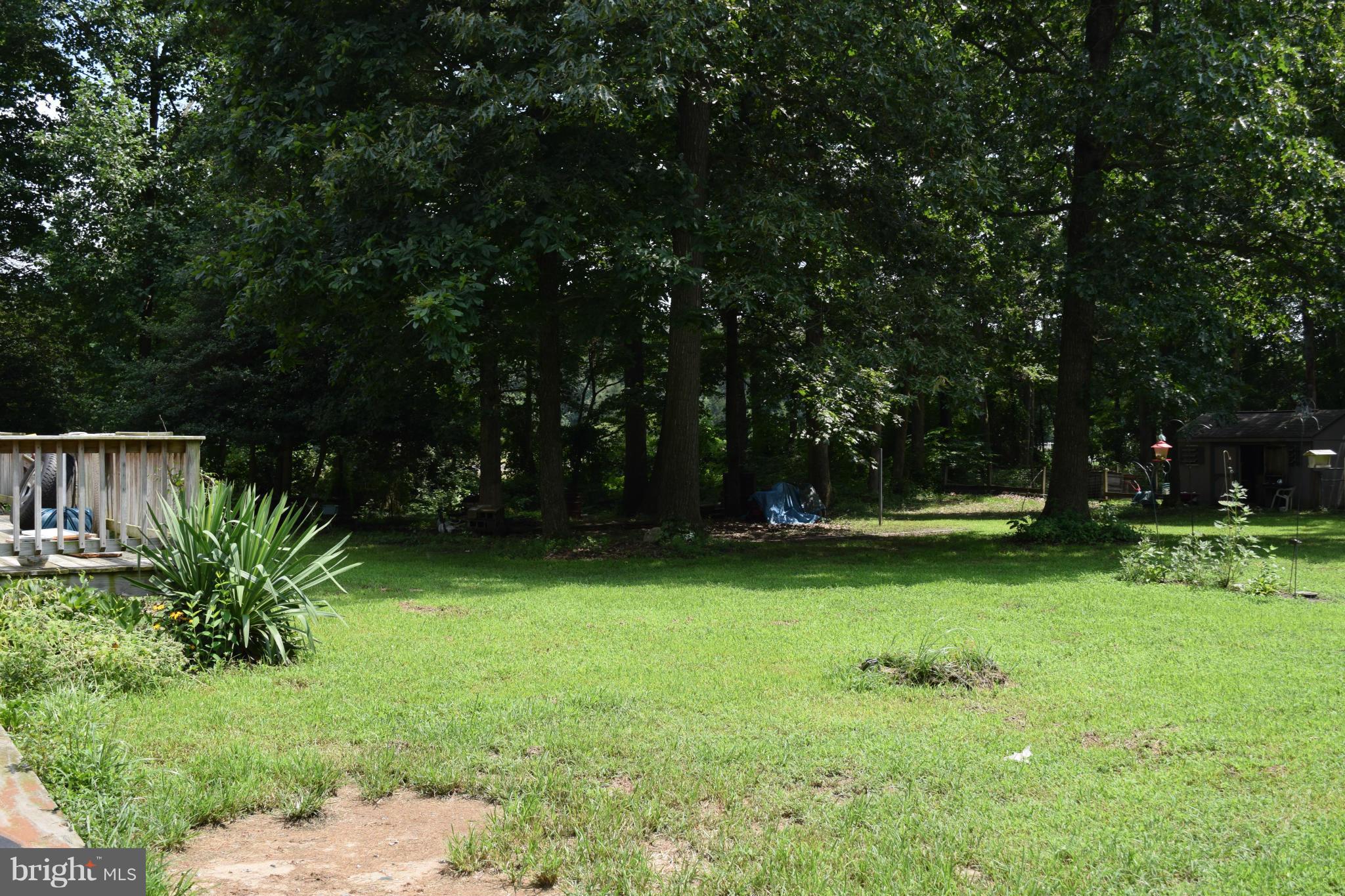220 Will Smith Road Henderson, MD 21640 - Photo 14 of 28 Wooded Area