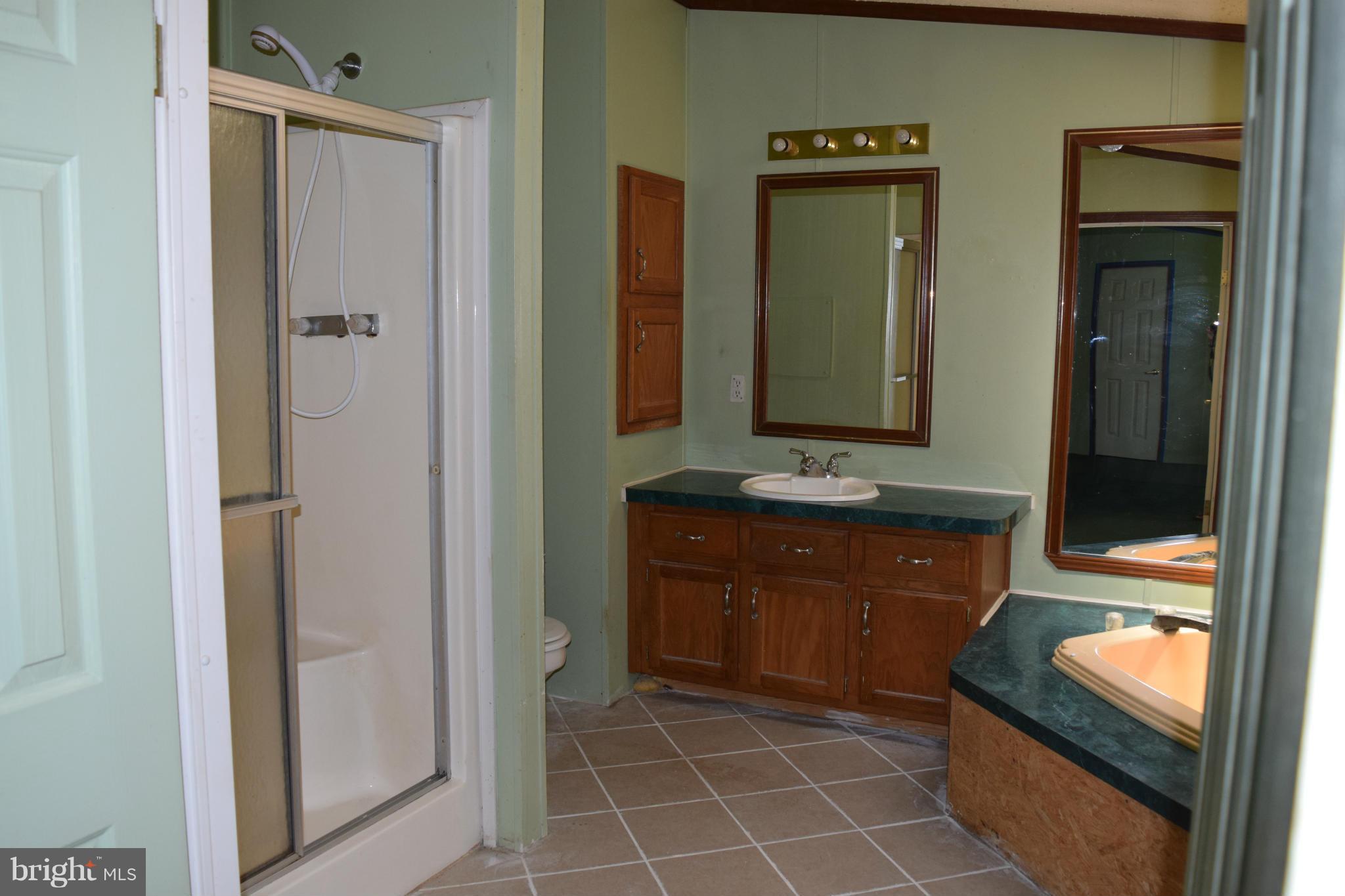 220 Will Smith Road Henderson, MD 21640 - Photo 27 of 28 Bath (Master)