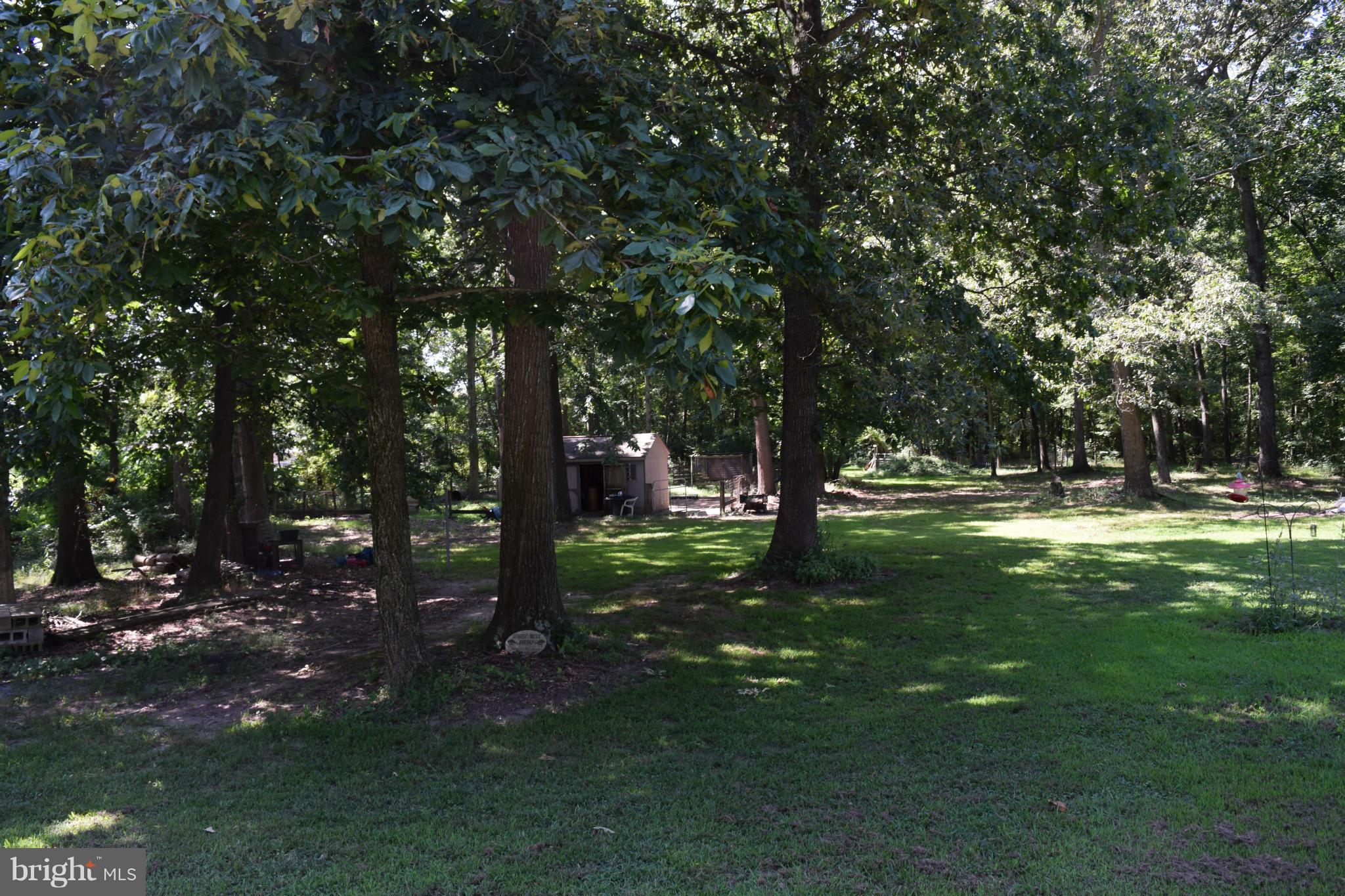 220 Will Smith Road Henderson, MD 21640 - Photo 9 of 28 Wooded area