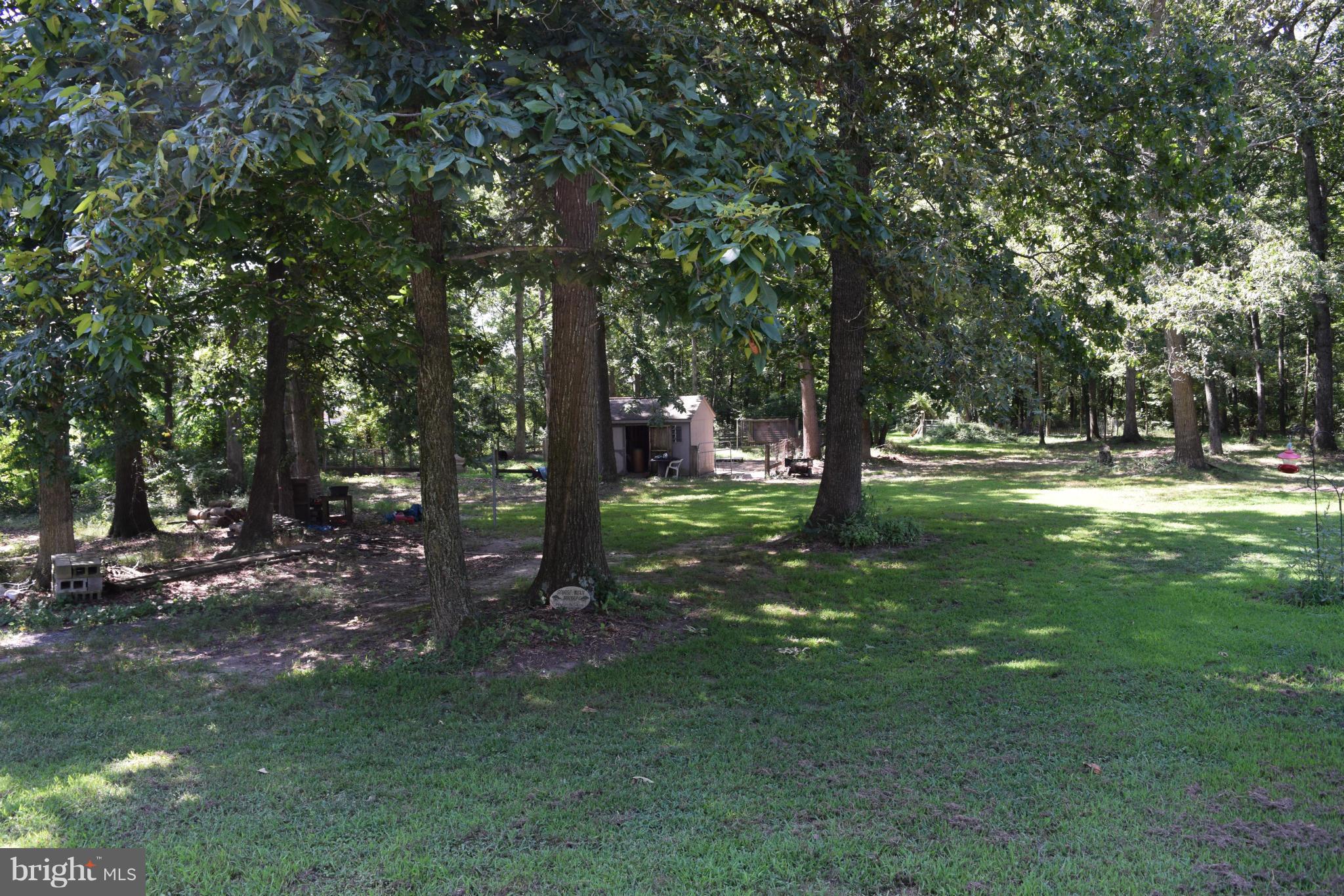 220 Will Smith Road Henderson, MD 21640 - Photo 10 of 28 wooded area