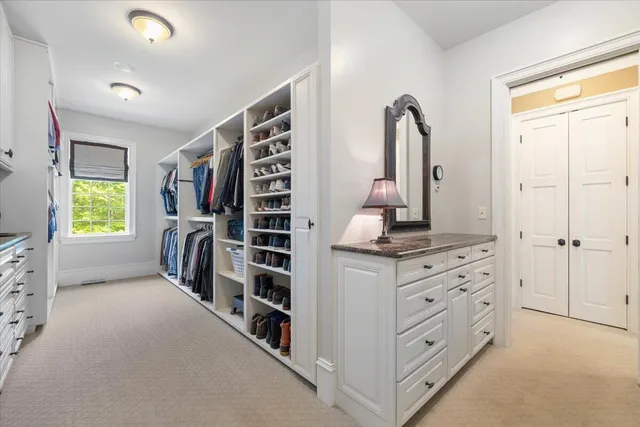 a view of a garden with plants and large trees