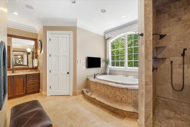 a view of a house with a yard potted plants and large tree