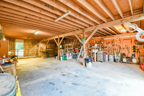 a view of a garden with plants