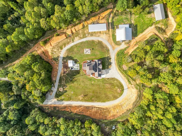 a view of a backyard with plants and chairs
