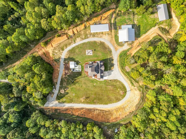 a view of a backyard with plants and chairs