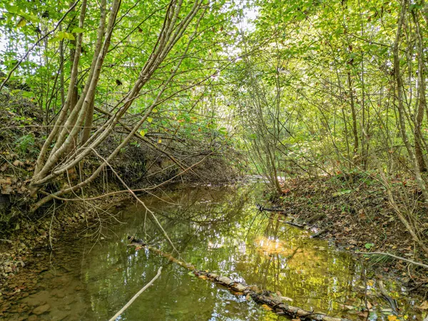 a living room with furniture a fireplace and a floor to ceiling window